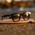 ARUBA - Sunset Tortoise