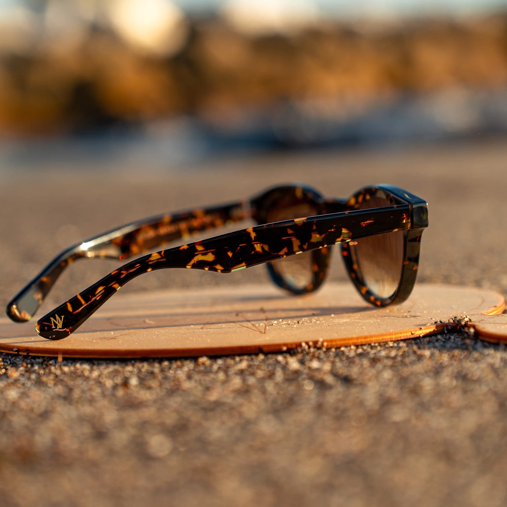 ARUBA - Sunset Tortoise